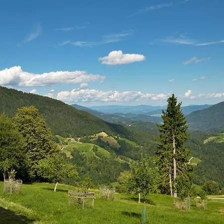 Koca V Lozah * Gornji Grad