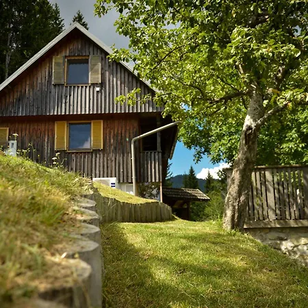 Дом отдыха Koca V Lozah Gornji Grad