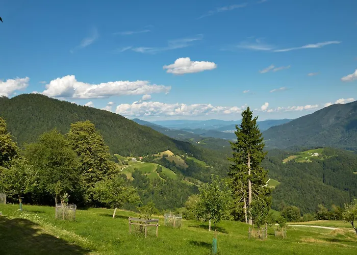 Koca V Lozah * Gornji Grad